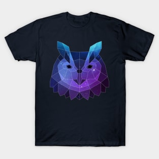 Galaxy Owl Geometric Animal T-Shirt